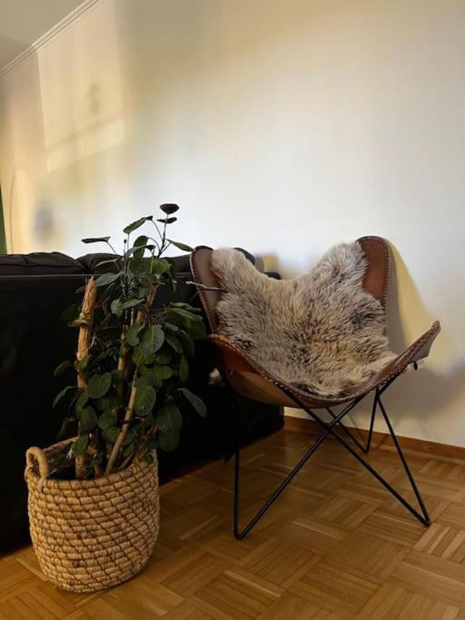*DLC: Exklusives Clubapartment mit Privatparkplatz Bad Pyrmont Exterior foto